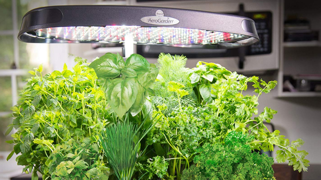 Aerogarden Bounty e Harvest – errori da non fare